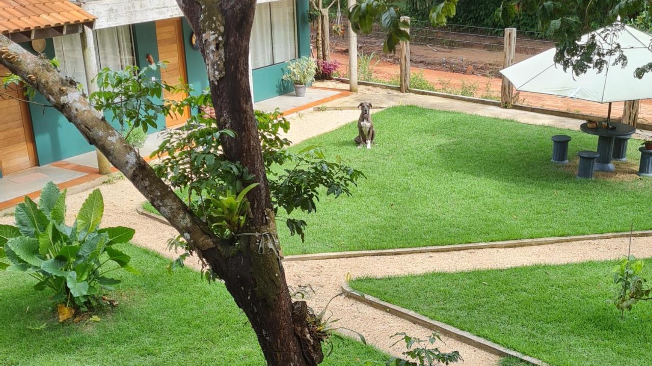 Casa Saimiri Guest house *